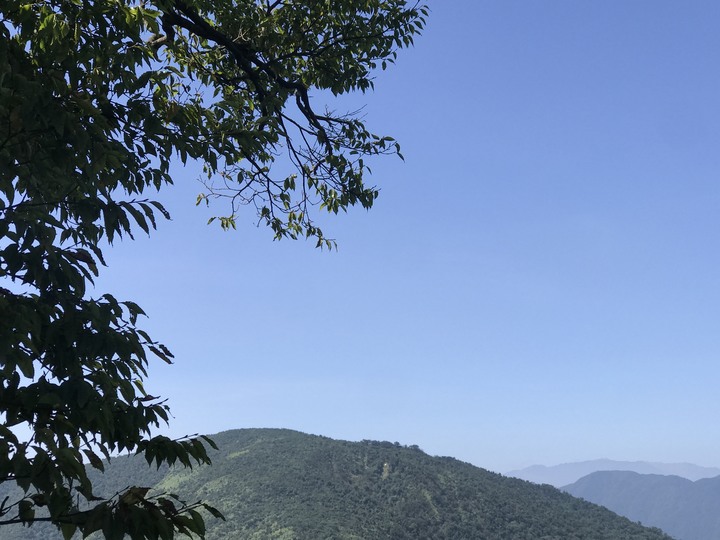 仲秋秋意涼 太平山爆棚
