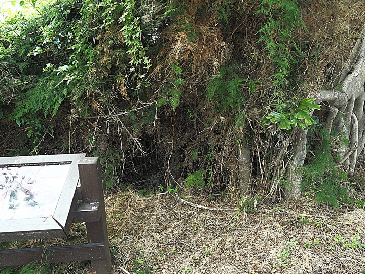 羅寶田神父紀念園區,「洋菩薩」所蓋的天主堂舊址,金門人將它轉換為永久的紀念物 — 盛夏金門四日行 金湖篇 第1部