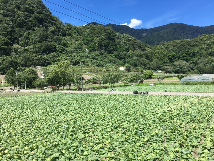 南台灣的合歡山-南橫三星(山)