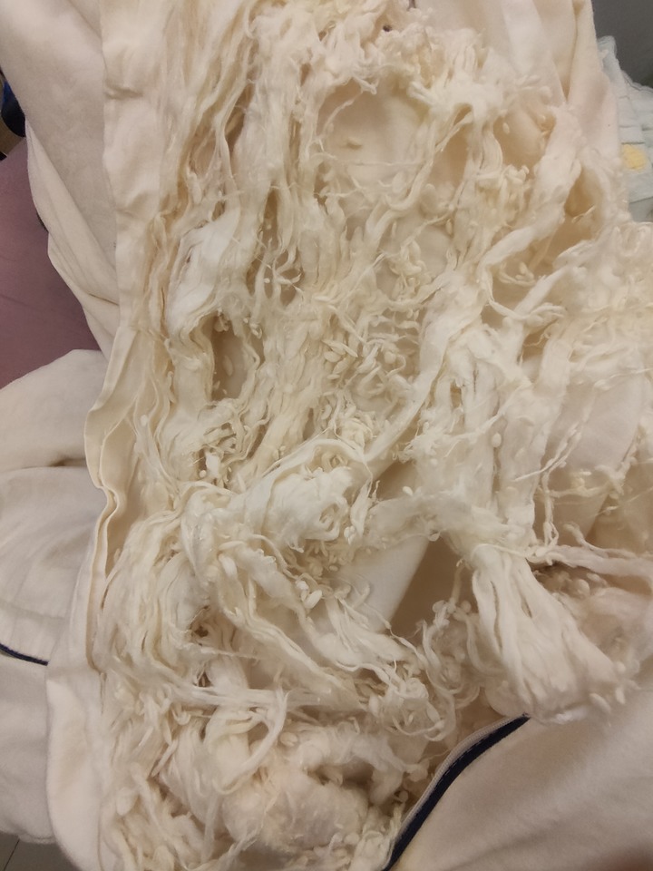 蠶絲被為什麼變這樣
