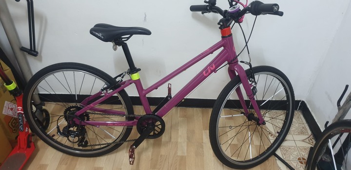 請教改裝前輩 關於捷安特ALIGHT 24