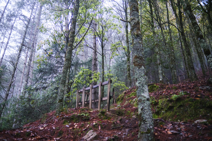 點我看大圖 【桃山喀拉業】一日二秀 | 比合歡西峰還要鳥的鳥山