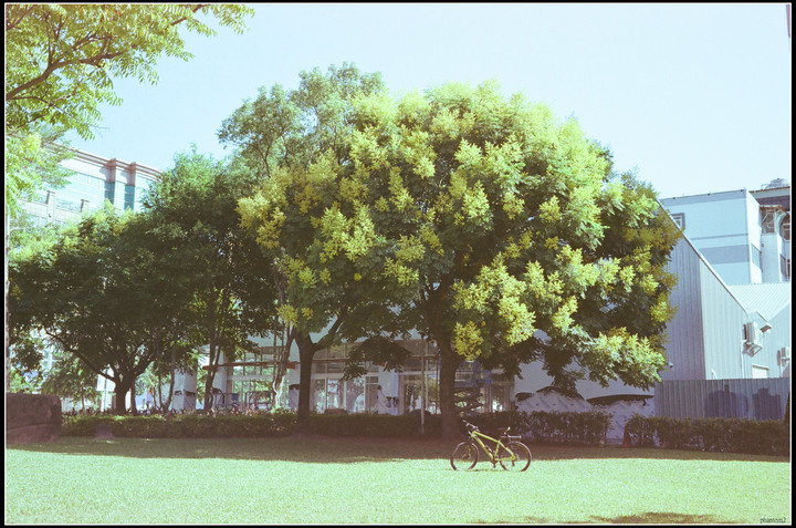 過期變質的kodak c200