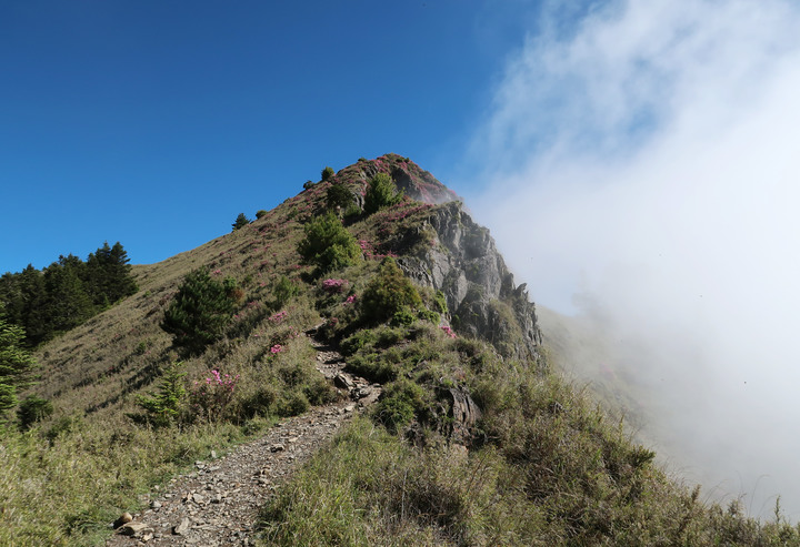點我看大圖 【桃山喀拉業】一日二秀 | 比合歡西峰還要鳥的鳥山