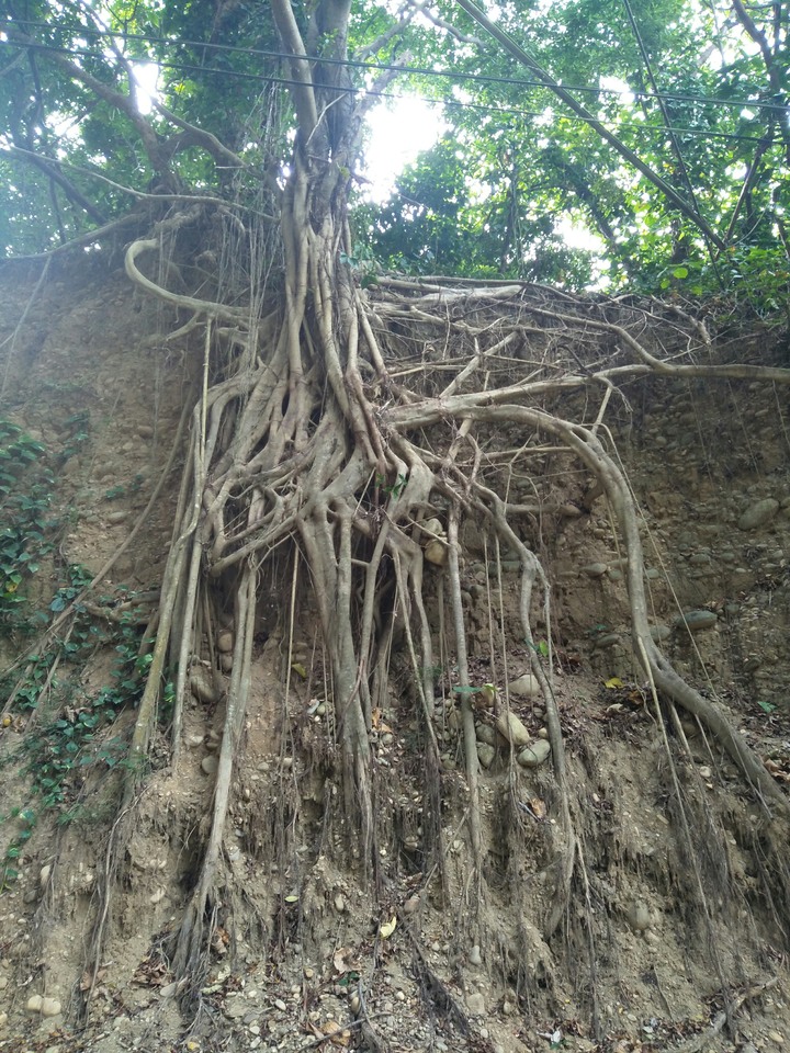 山壁坍方