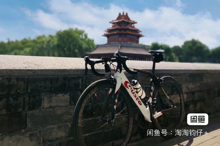 二手公路車配置請益