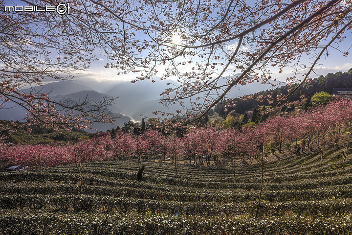 點我看大圖 精緻風景細節盡在Canon EOS R5