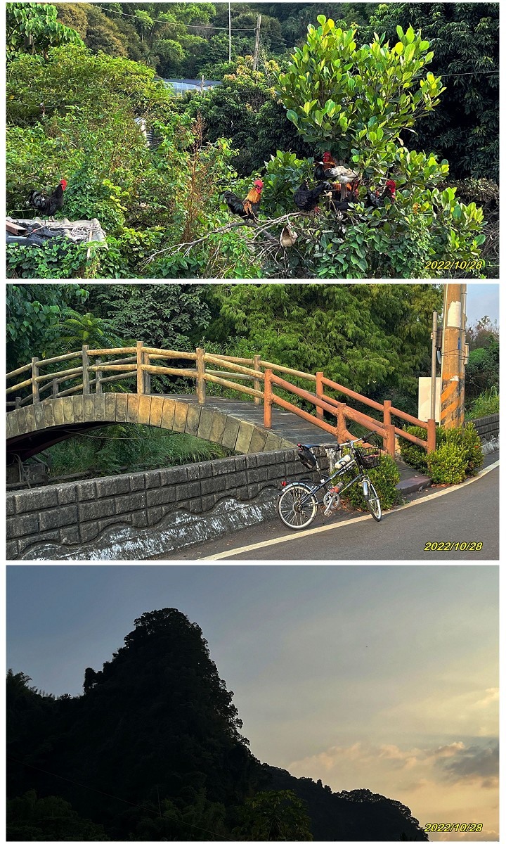 舊台14的隧道們