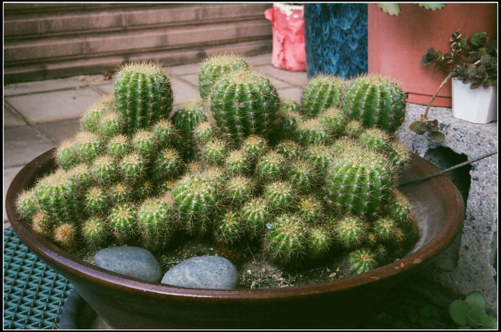 過期但變質沒很嚴重的fuji400