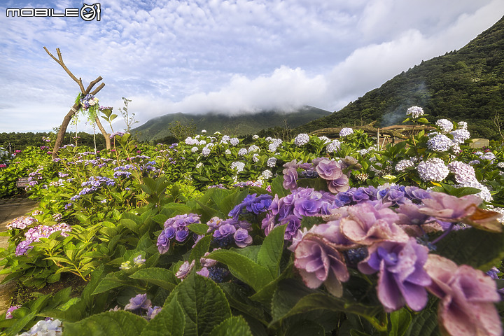 點我看大圖 精緻風景細節盡在Canon EOS R5