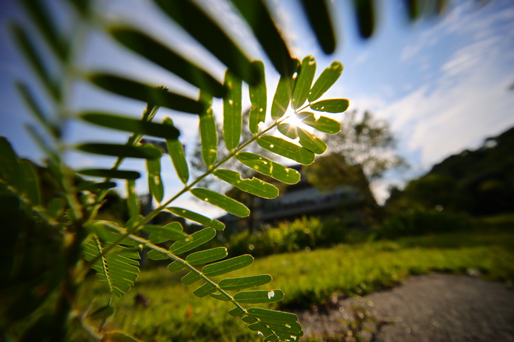 LAOWA FFII 12-24mm f/5.6 C-Dreamer 評測報告|同時滿足便攜與超廣角的需求!