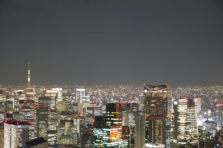 夜景 ▪ 民宿 ▪ 星野 ▪ 漫畫景點 ▪ 東京8日之旅