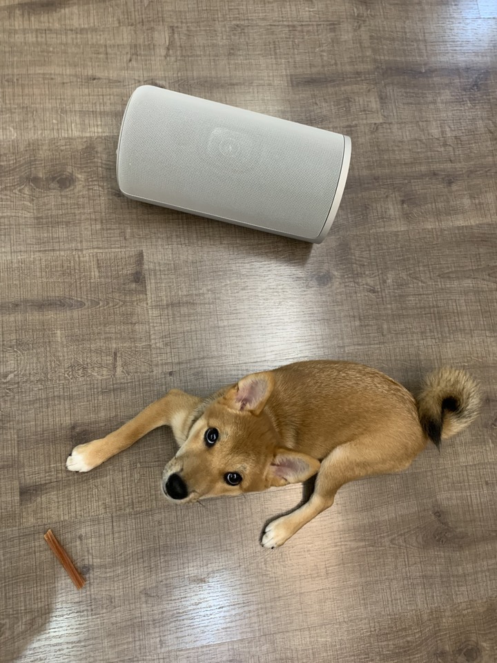 Soundbar採購 & Sony HT-A9比較心得 + 開箱文