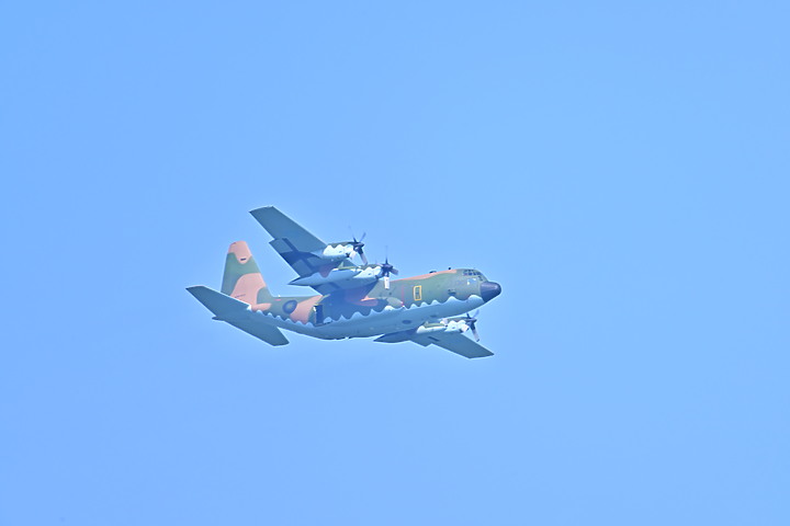 手持Nikon Z9+445+2.0X拍下麻雀群飛及追拍燕子