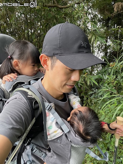 親子小百岳｜#57梨子腳山：穿梭竹林霧裡行，頂上茶園映眼簾