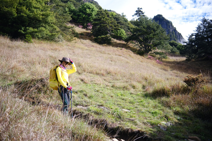 點我看大圖 【桃山喀拉業】一日二秀 | 比合歡西峰還要鳥的鳥山