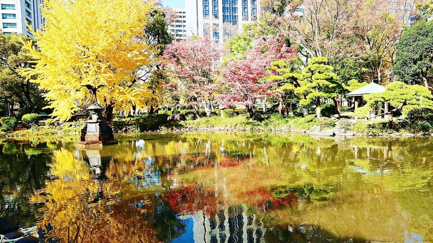 【東京都】東京紅葉名所日比谷公園＆松本樓之美景美食之旅!