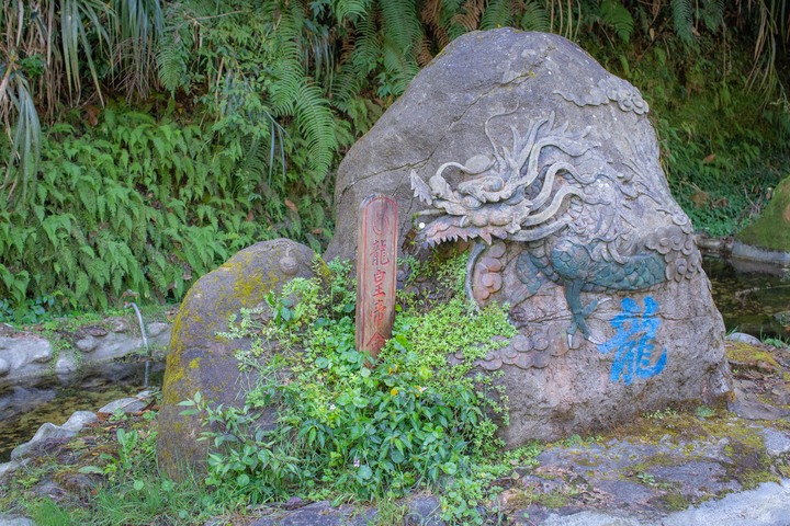 南投杉林溪一日遊賞楓葉與山林美景分享