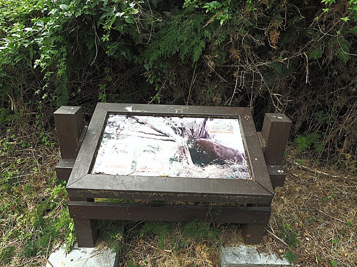 羅寶田神父紀念園區,「洋菩薩」所蓋的天主堂舊址,金門人將它轉換為永久的紀念物 — 盛夏金門四日行 金湖篇 第1部