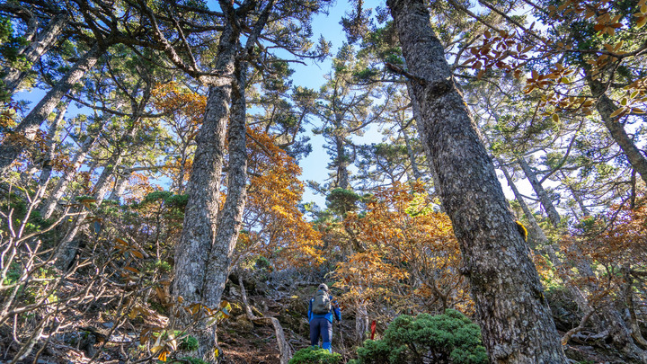 2022.09.25-28 南湖群峰之馬比杉山