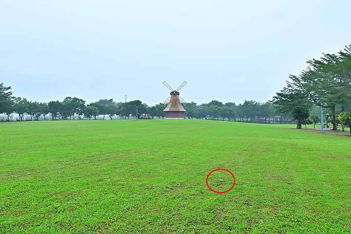 Nikon Z9以5支鏡頭拍草地香菇從14mm變焦至3200mm+3680mm。