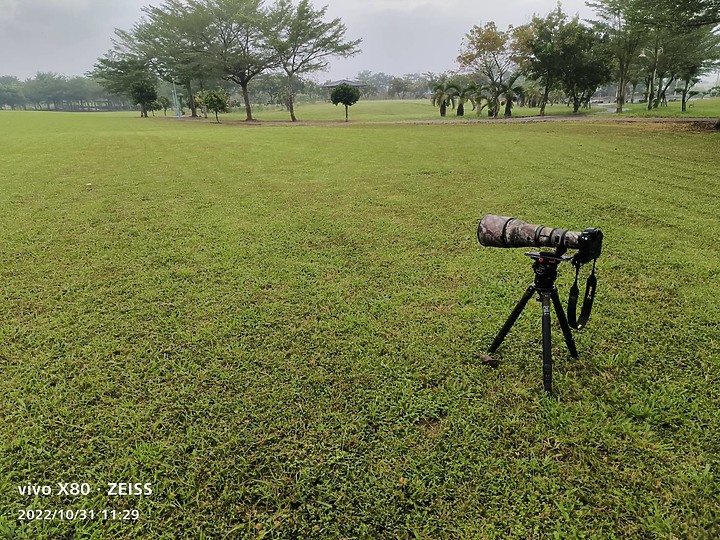 Nikon Z9以5支鏡頭拍草地香菇從14mm變焦至3200mm+3680mm。