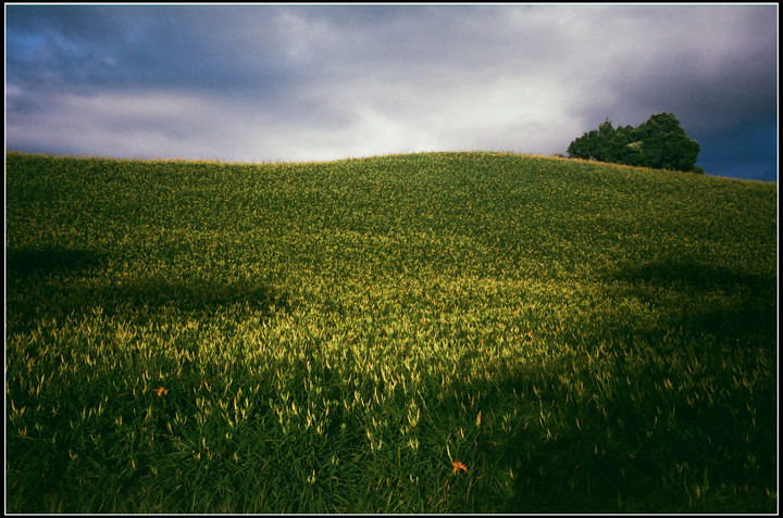 過期但變質沒很嚴重的fuji400