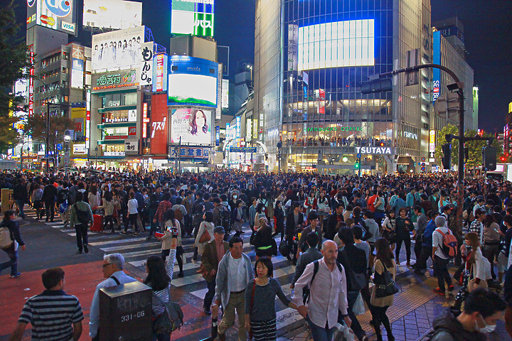 夜景 ▪ 民宿 ▪ 星野 ▪ 漫畫景點 ▪ 東京8日之旅