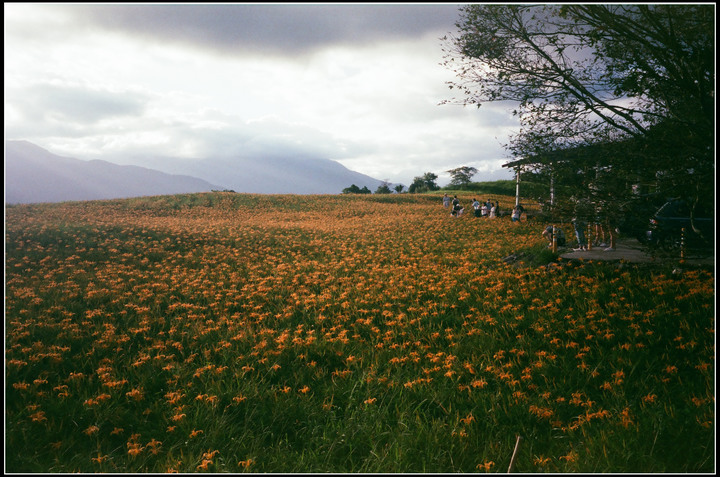 過期但變質沒很嚴重的fuji400