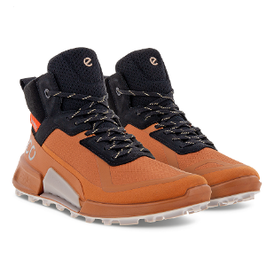 ECCO BIOM 2.1 X MOUNTAIN健步鞋開箱｜將城市鞋履的舒適帶入山林！