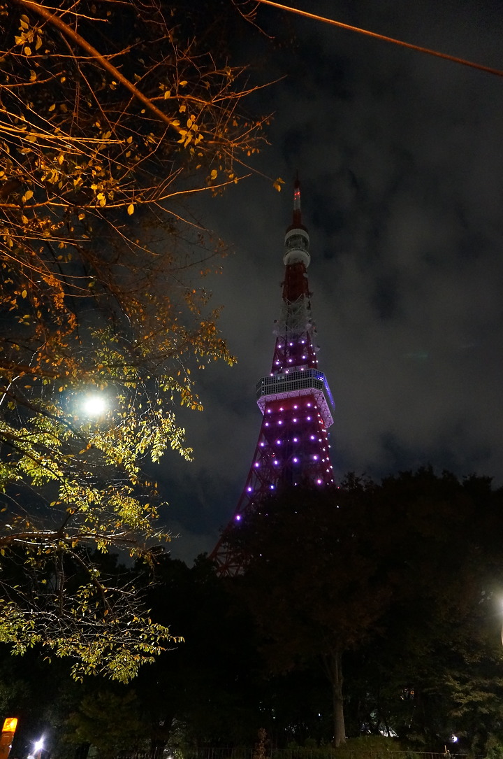 夜景 ▪ 民宿 ▪ 星野 ▪ 漫畫景點 ▪ 東京8日之旅
