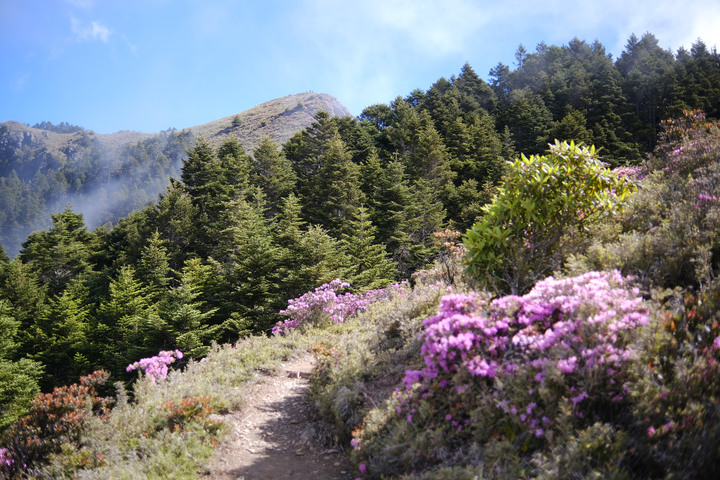 點我看大圖 【桃山喀拉業】一日二秀 | 比合歡西峰還要鳥的鳥山