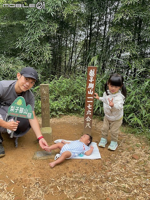 親子小百岳｜#57梨子腳山：穿梭竹林霧裡行，頂上茶園映眼簾