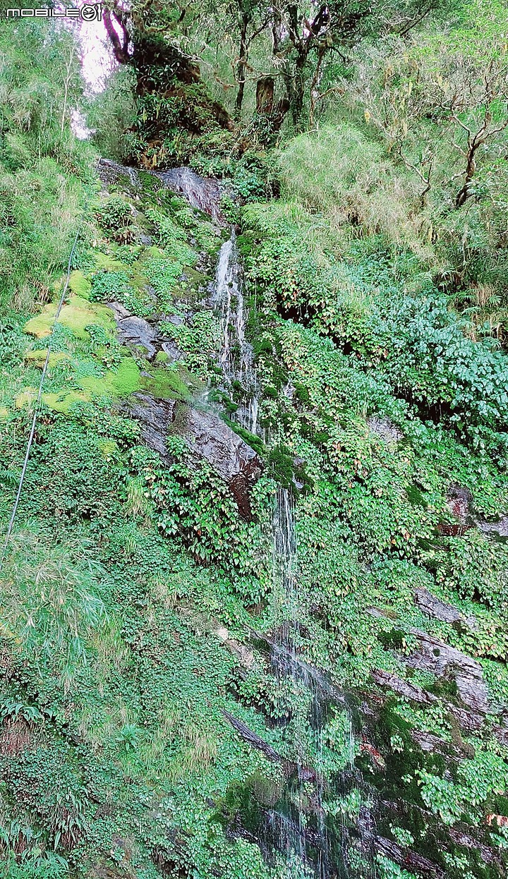 點我看大圖 奇萊南峰/南華山~單攻