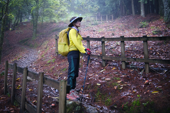 點我看大圖 【桃山喀拉業】一日二秀 | 比合歡西峰還要鳥的鳥山