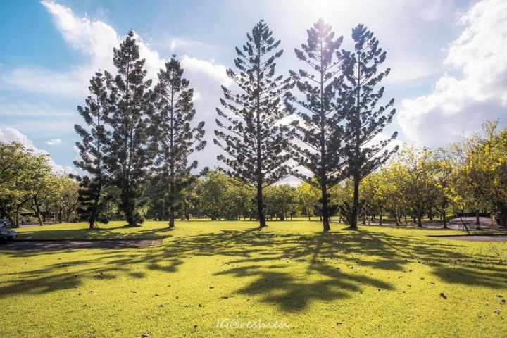 南投x草屯一日遊｜到中興新村大拍意境美照！順遊6處人氣景點