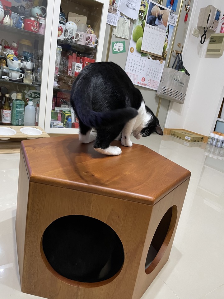 「開箱」瑪荷尼的貓咪遊戲六角矮凳