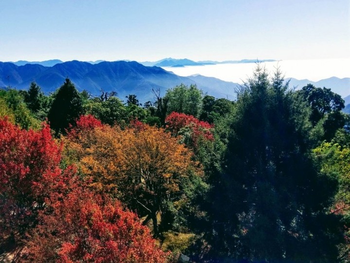 雙十國慶連假上山森呼吸！全台14處國家森林遊樂區「限時3天半價」！