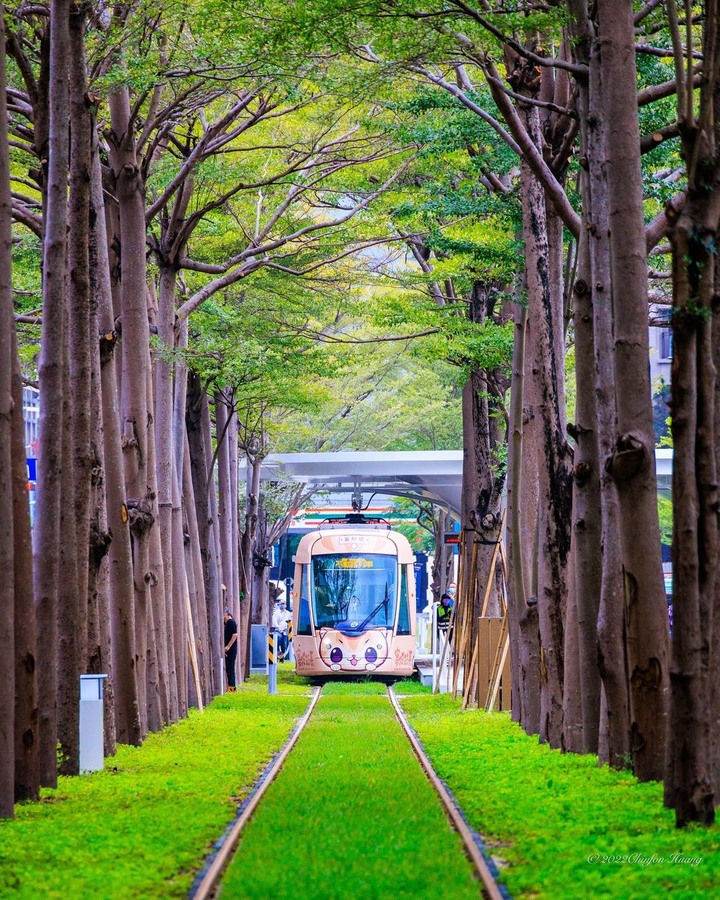 「台版小玉電車」現身高雄！超萌蜜柑電車穿梭「龍貓隧道」、12/18前限定區間免費搭！