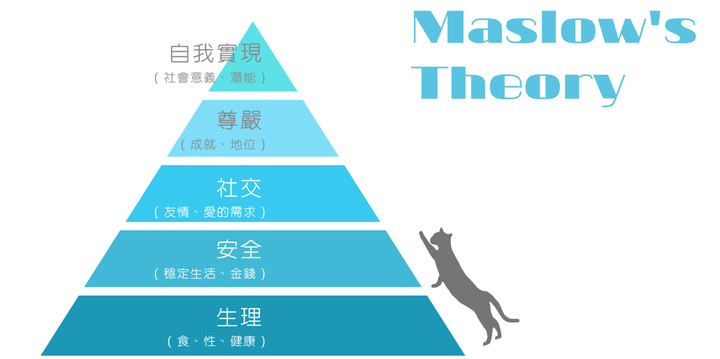 【募資】圈圈_心理健康平台 — 相信每個情緒都需要出口