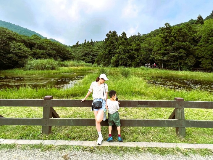 陽明山冷擎步道 | 森林吊橋好紓壓,山頂草原看牛隻