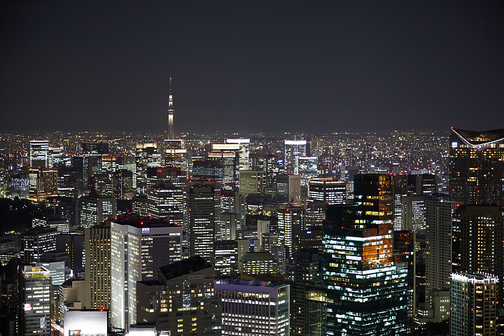 夜景 ▪ 民宿 ▪ 星野 ▪ 漫畫景點 ▪ 東京8日之旅