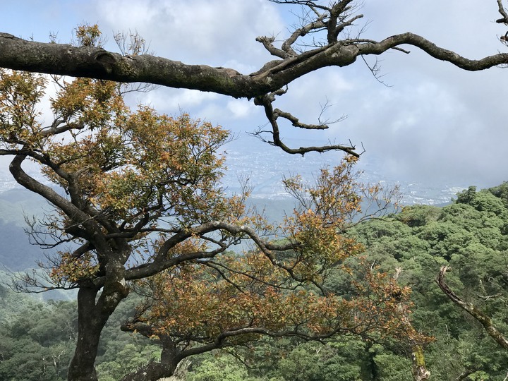 山林巡邏車 SYM T2 -- 跨界巡山員
