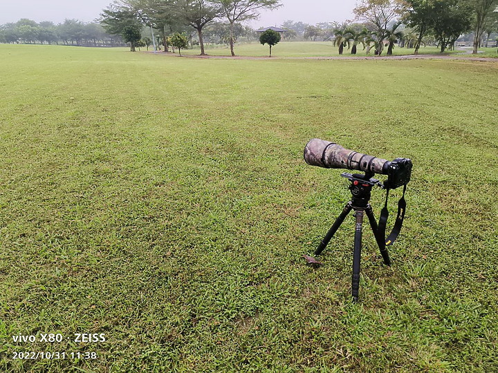 Nikon Z9以5支鏡頭拍草地香菇從14mm變焦至3200mm+3680mm。