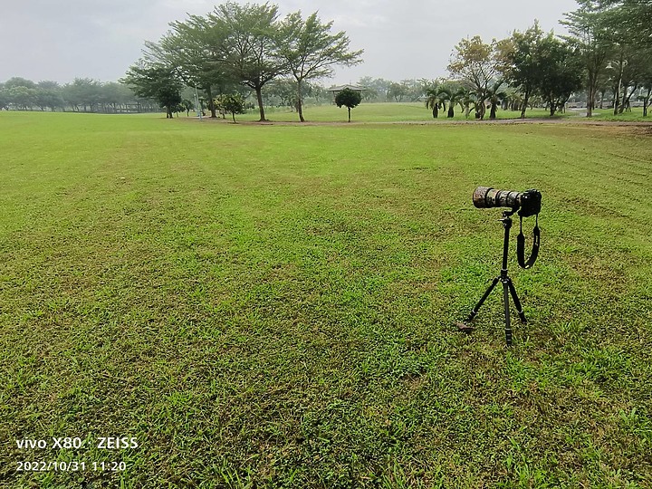 Nikon Z9以5支鏡頭拍草地香菇從14mm變焦至3200mm+3680mm。