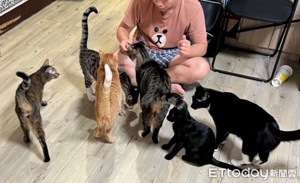 家裡孩子「全往天花板看」定格不動牠四腳緊緊黏住：壓力好大