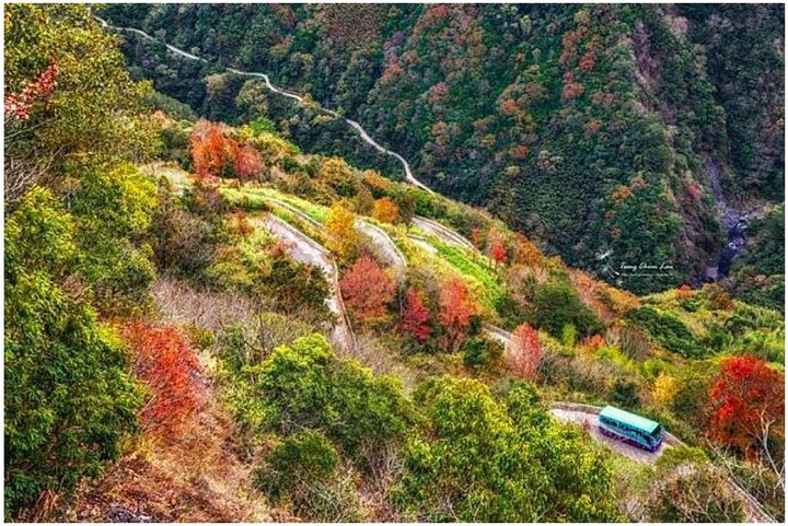 想問【司馬庫斯】旅程安排,會推薦自駕還是跟團就好?