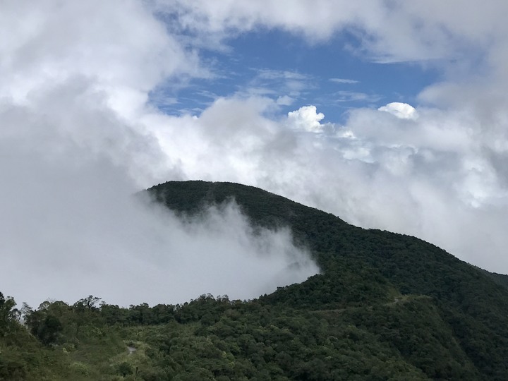 山野特工－－最低海拔台灣水青岡