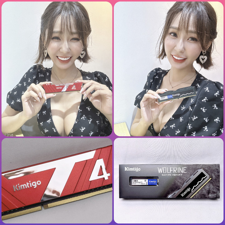 金泰克 速虎 T4及貪狼星 Wolfrine 兩款 DDR4 8GB 散熱片 記憶體