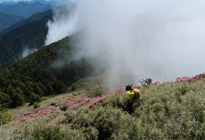 點我看大圖 【桃山喀拉業】一日二秀 | 比合歡西峰還要鳥的鳥山